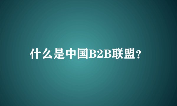 什么是中国B2B联盟？