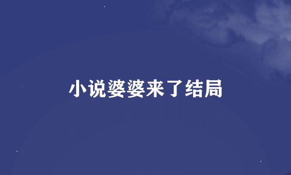 小说婆婆来了结局