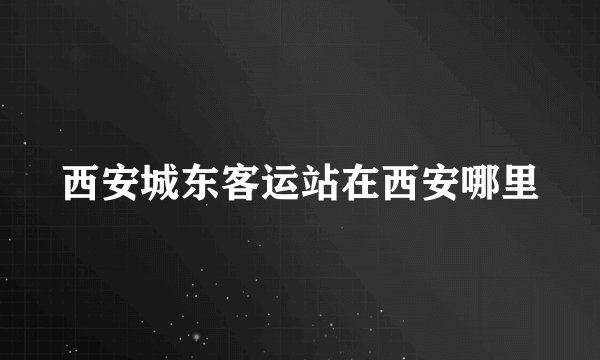 西安城东客运站在西安哪里