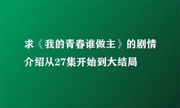 求《我的青春谁做主》的剧情介绍从27集开始到大结局