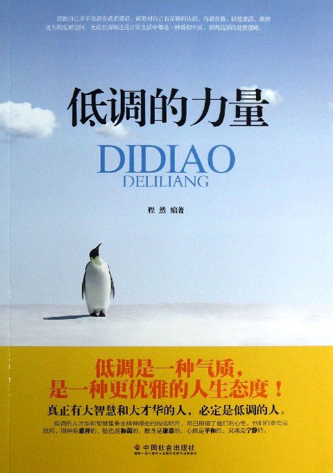 低调成长史的作者简介;