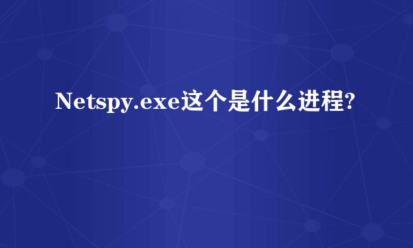 Netspy.exe这个是什么进程?