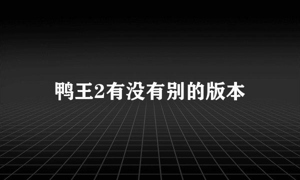 鸭王2有没有别的版本
