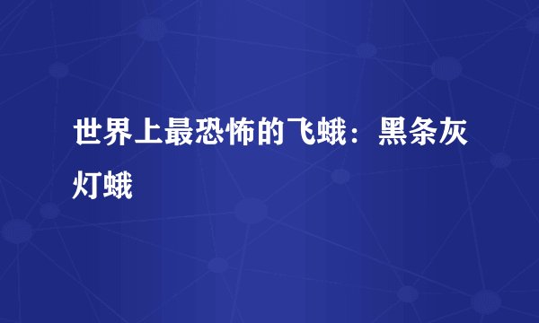 世界上最恐怖的飞蛾：黑条灰灯蛾