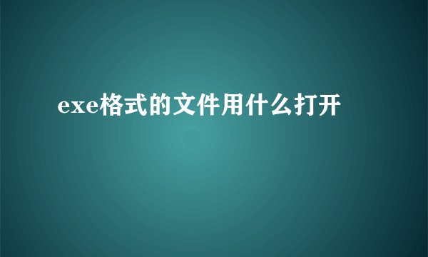 exe格式的文件用什么打开