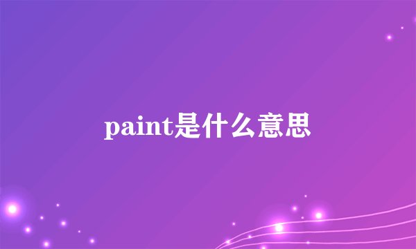 paint是什么意思