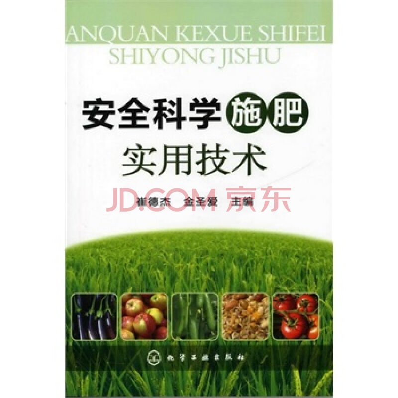金圣爱的主要作品
