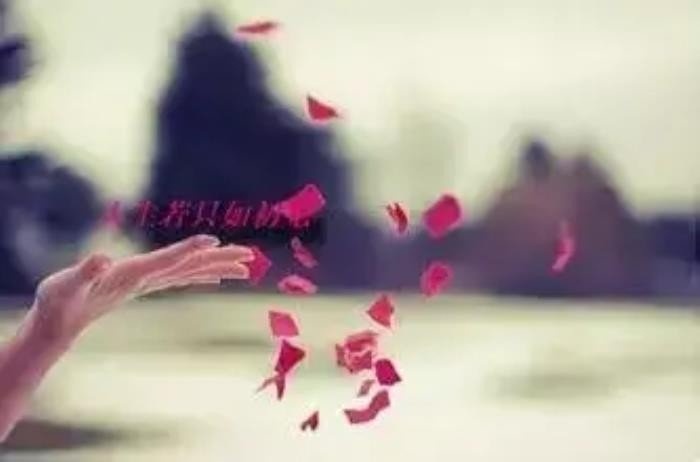 红颜知己指的是什么动物