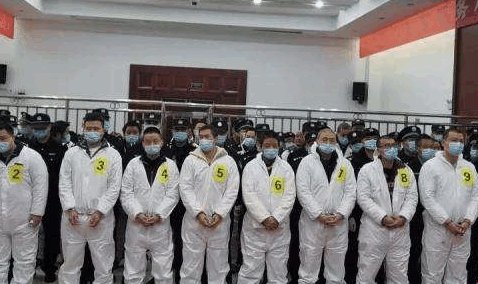 张成功被执行死刑，他的身上都有哪些罪名？