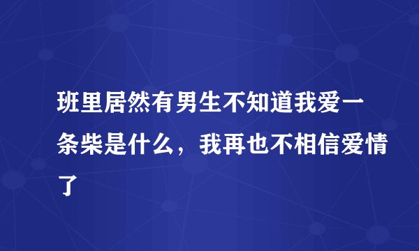 班里居然有男生不知道我爱一条柴是什么，我再也不相信爱情了
