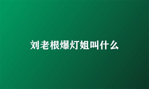 刘老根爆灯姐叫什么