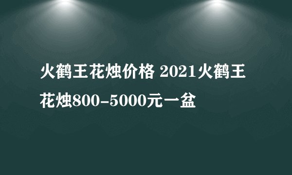火鹤王花烛价格 2021火鹤王花烛800-5000元一盆