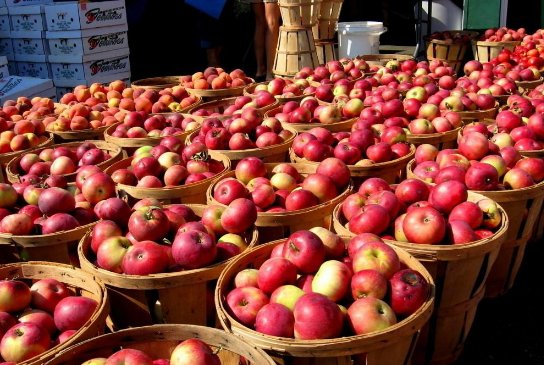 “大量的”英语短语怎么写？