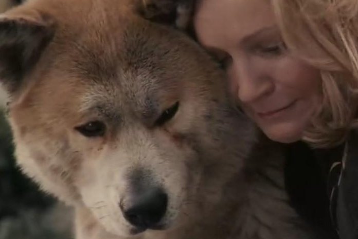 上海一宠物犬在小区路灯杆旁撒尿触电死亡，主人该向谁索赔？