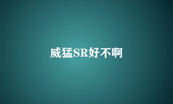 威猛SR好不啊
