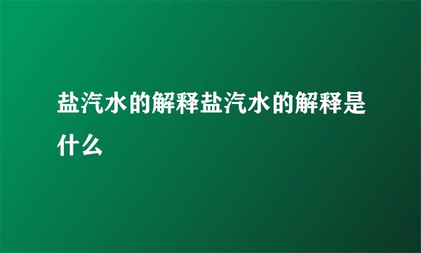 盐汽水的解释盐汽水的解释是什么