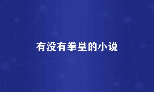 有没有拳皇的小说