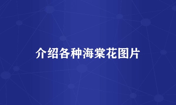 介绍各种海棠花图片