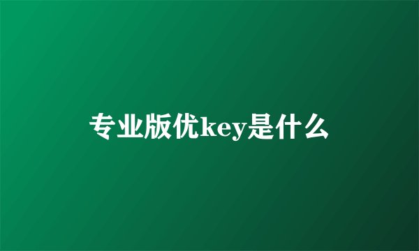 专业版优key是什么