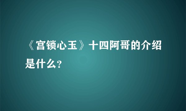 《宫锁心玉》十四阿哥的介绍是什么？