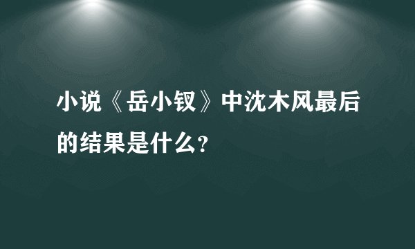 小说《岳小钗》中沈木风最后的结果是什么？