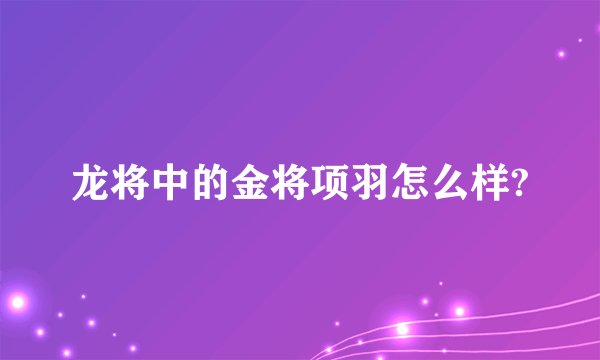 龙将中的金将项羽怎么样?