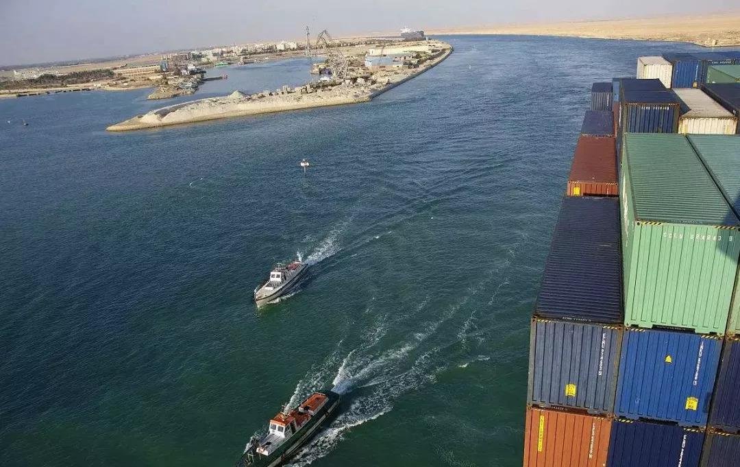 苏伊士运河堵了数千只牛羊，这些牛羊是否能健康的生存下去？