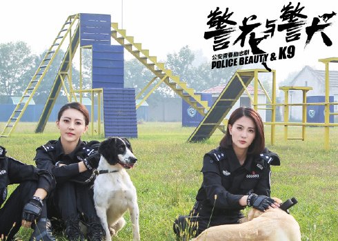 关于军犬战友情的电视剧