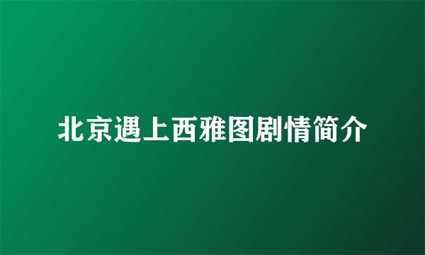 北京遇上西雅图剧情简介