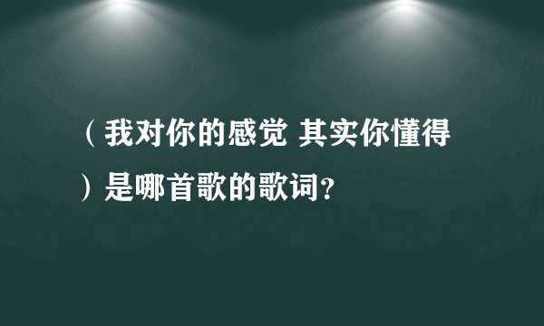 （我对你的感觉 其实你懂得）是哪首歌的歌词？