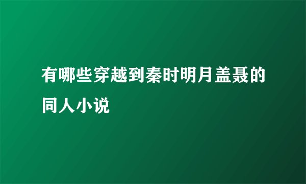 有哪些穿越到秦时明月盖聂的同人小说
