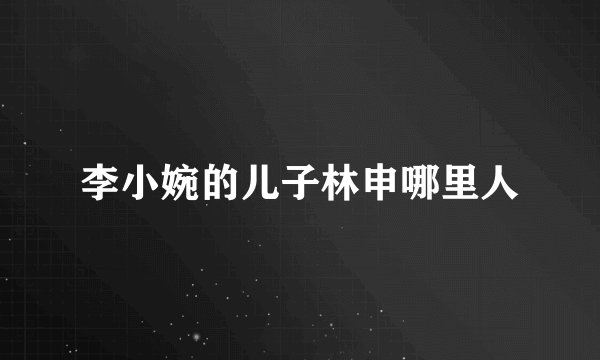 李小婉的儿子林申哪里人