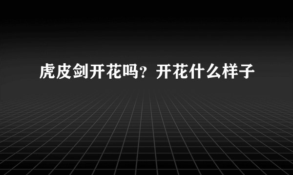 虎皮剑开花吗？开花什么样子