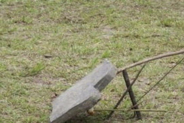 “下套”是什么意思？