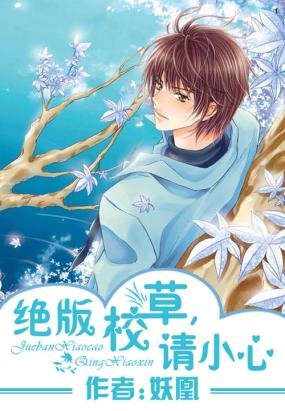 绝版伪校草的内容简介