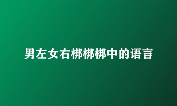 男左女右梆梆梆中的语言