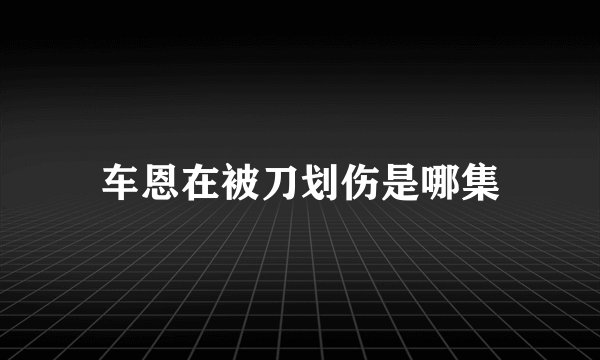 车恩在被刀划伤是哪集