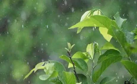 2022年入梅是哪一天