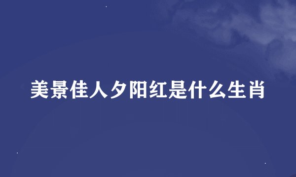 美景佳人夕阳红是什么生肖