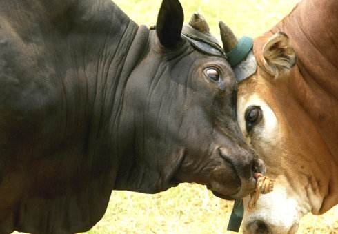 轴 是什么意思？