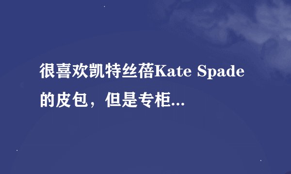 很喜欢凯特丝蓓Kate Spade的皮包，但是专柜价格实在太贵了，网上有卖的吗？
