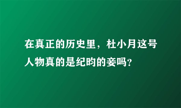 在真正的历史里，杜小月这号人物真的是纪昀的妾吗？