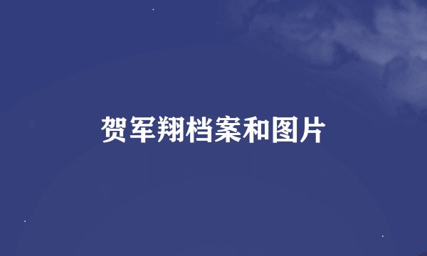 贺军翔档案和图片