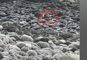 重庆嘉陵江水位降低，浅滩上发现神秘坛子，它到底有何来头？