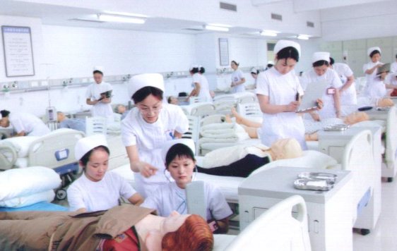 高护和护理学的区别