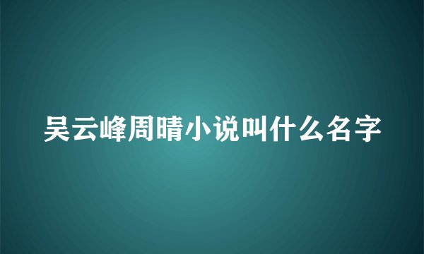 吴云峰周晴小说叫什么名字