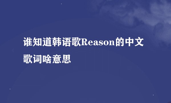 谁知道韩语歌Reason的中文歌词啥意思