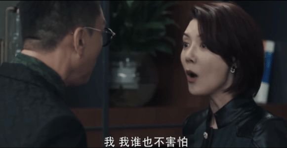 扫黑风暴这部剧的导演是谁?