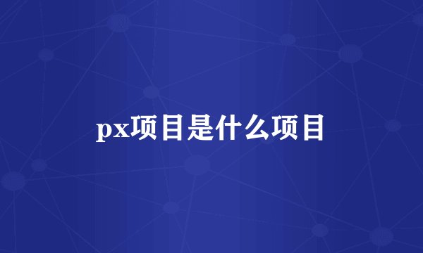 px项目是什么项目