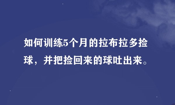 如何训练5个月的拉布拉多捡球，并把捡回来的球吐出来。